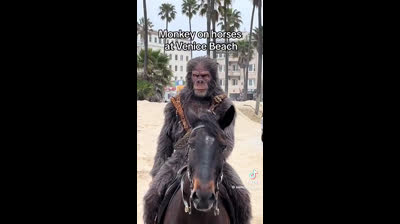 Great way to promote "Kingdom of the Planet of the Apes"
