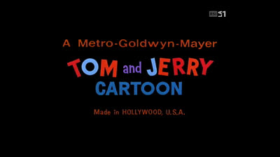 240 b1 porky's teabiscuit