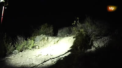 Atletismo en acción 1x06: Programa 6