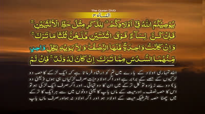 Surah-4 An Nisa  Ayat No 11-14 Ruku No 2 Word by word learning Quran in video in 4K