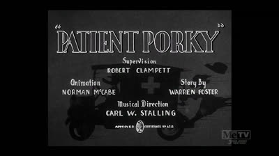 296 al patient porky