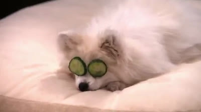 Big Time Rush Temporada 1 Cap 10