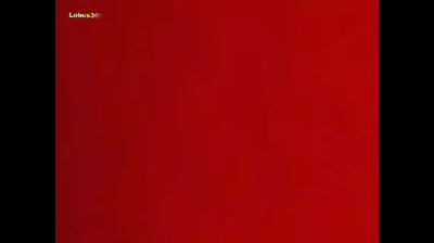 Dragón ball capitulo #1