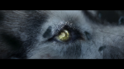 SIA  WOLF -OFFICIAL  VIDEO-  ERIN  MOMMSEN  WOLFF.