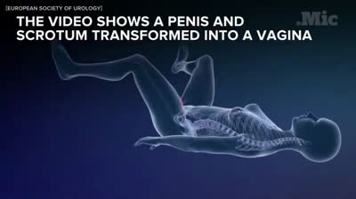 Si  tu hijo un día dice que quiere ser mujer muéstrele este vídeo.