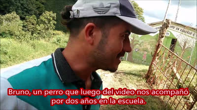 Bruno, un perrito vecino que frecuentaba la escuela