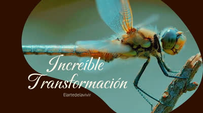 Increible Transformacion