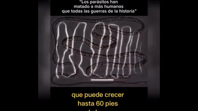 ¡¡¡Mucho cuidado!!! Los Parasitos han matado a mas humanos que todas las guerras juntas