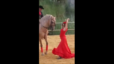 ¡No podemos permitir que quieran destruir nuestra historia y nuestras costumbres!