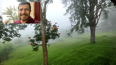 Así está el clima en la escuela