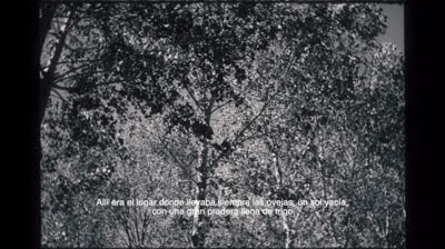 LA ERA -rubén Sánchez-trailer