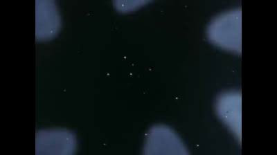 Baldios - Il guerriero dello spazio epi 33