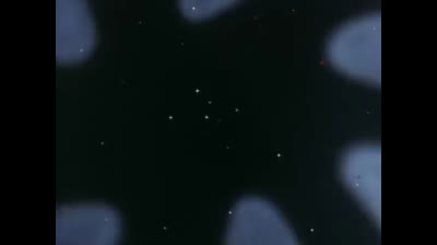 Baldios - Il guerriero dello spazio epi 34