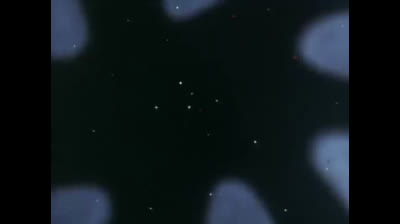 Baldios - Il guerriero dello spazio epi 29