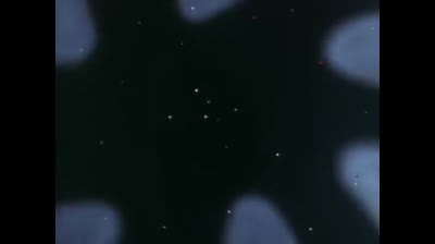 Baldios - Il guerriero dello spazio epi 28