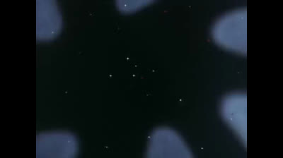 Baldios - Il guerriero dello spazio epi 27