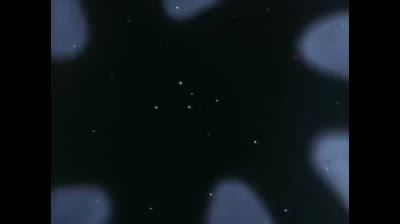 Baldios - Il guerriero dello spazio epi 26