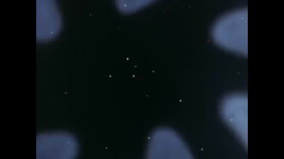 Baldios - Il guerriero dello spazio epi 24