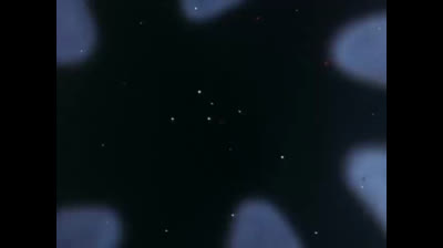 Baldios - Il guerriero dello spazio epi 07