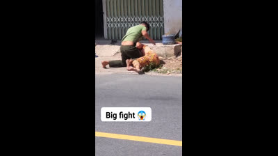 Big fight on the road ?