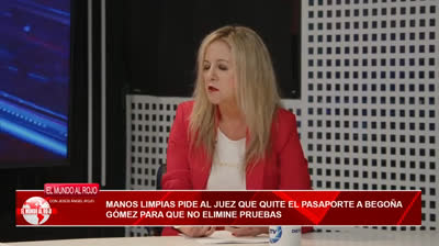 MANOS LIMPIAS PIDE AL JUEZ QUE QUITE EL PASAPORTE A BEGOÑA GÓMEZ PARA QUE NO ELIMINE PRUEBA..