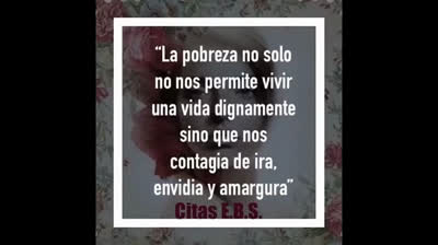 Video de frases de la vida