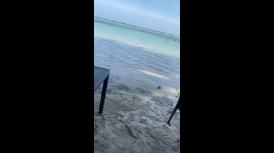 Playa de República Dominicana