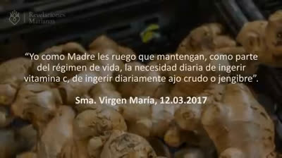 PLANTAS DADAS POR EL CIELO A LUZ DE MARÍA - SISTEMA INMUNE  P1