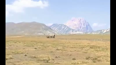Continuavano a Chiamarlo Trinità - se tutti gli uomini fossero generosi come voi... Vi fareste rapinare dalla mattina alla sera - Bud Spencer e Terence Hill