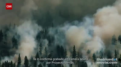 EL VIDEO MÁS PODEROSO QUE VERÁS HOY ⚠️