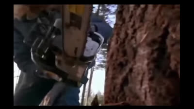 Chuck Norris ferma una moto sega a mani nude