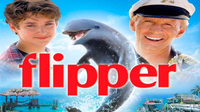 Flipper 2/11 Version VF HD 2K Blu-ray