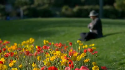 video corto prueba 2