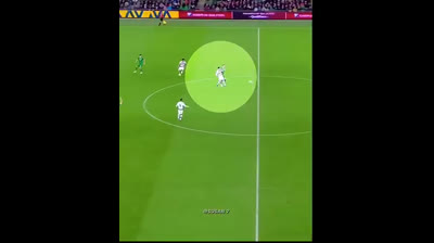 Pepe and Cristiano Ronaldo ??