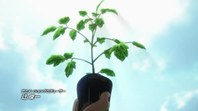 WIND BREAKER  5 VF Saison 1