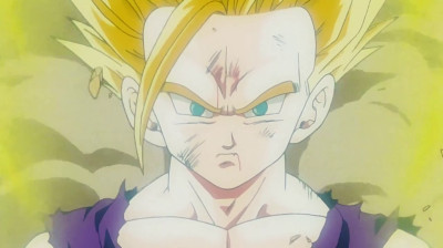 Capitulo 184 - Gohan se enfada