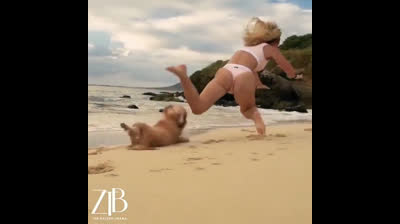 Epischer Moment mit meinem Hund!!!