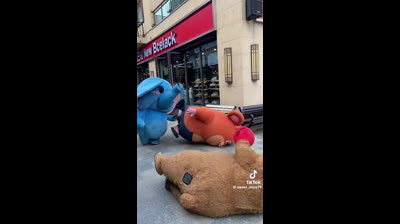 Bagarre entre animaux de compagnie