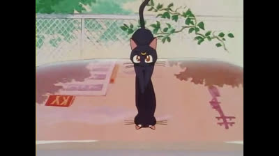 001 Sailor Moon - La niña llorona se convierte en guerrero