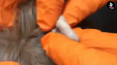 Videos de explotar granos satisfactorios