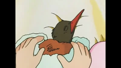 Sandy 21 - Vuela, pajarito!