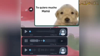 Laugh Out Loud: You Won't Be Able to Stop Laughing!