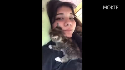 Humorous Videos to Brighten Your Day