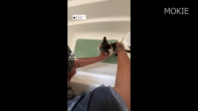 Funny Videos That Will Make You Burst into Laughter