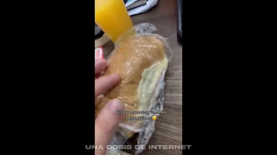 Funny Videos You Can't Miss