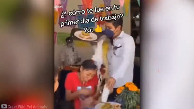 Humorous Videos to Share and Laugh