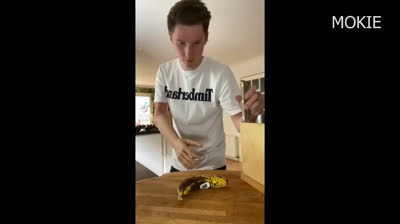 Videos Graciosos de Mascotas Traviesas