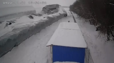 Videos Chistosos Para Toda la Familia