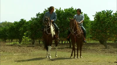 Corazón indomable  Capítulo 6