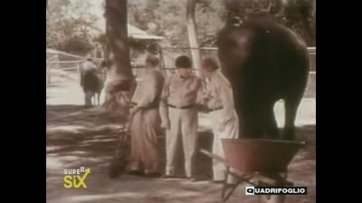 I 3 marmittoni (The New 3 Stooges)  epi 53